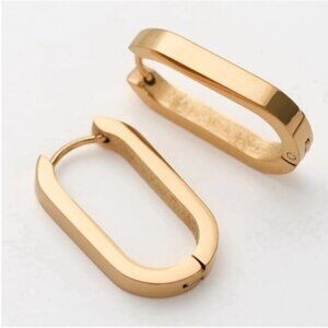 New! Anthropologie Brynn Gold Huggie Earrings NWOT